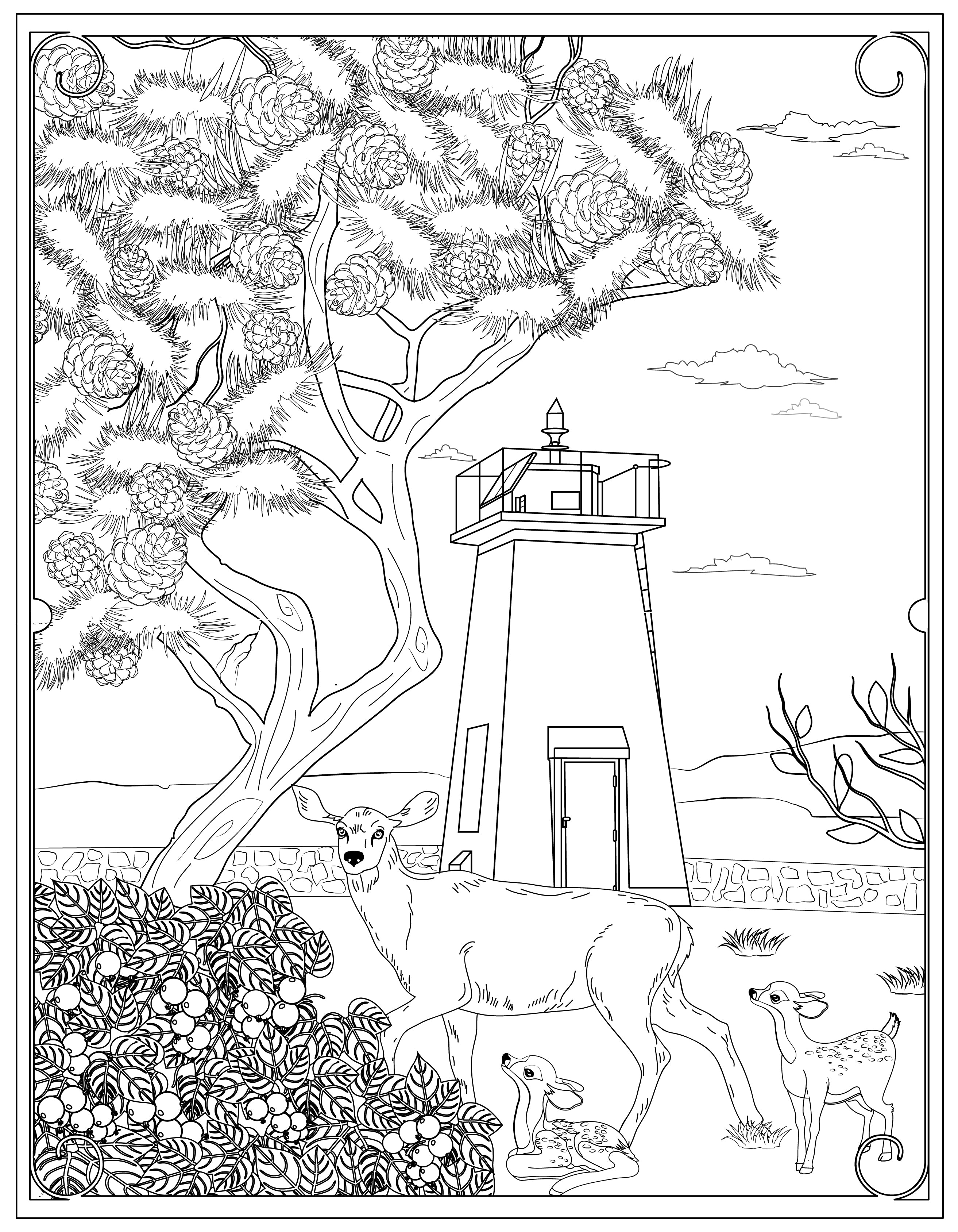 Single Coloring Book Page - Bush Point Lighthouse, Washington - Digital Print-from-Home